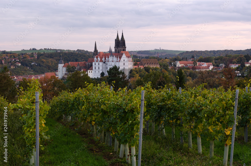 Panorama der Burg Meissen von den Weinbergen
