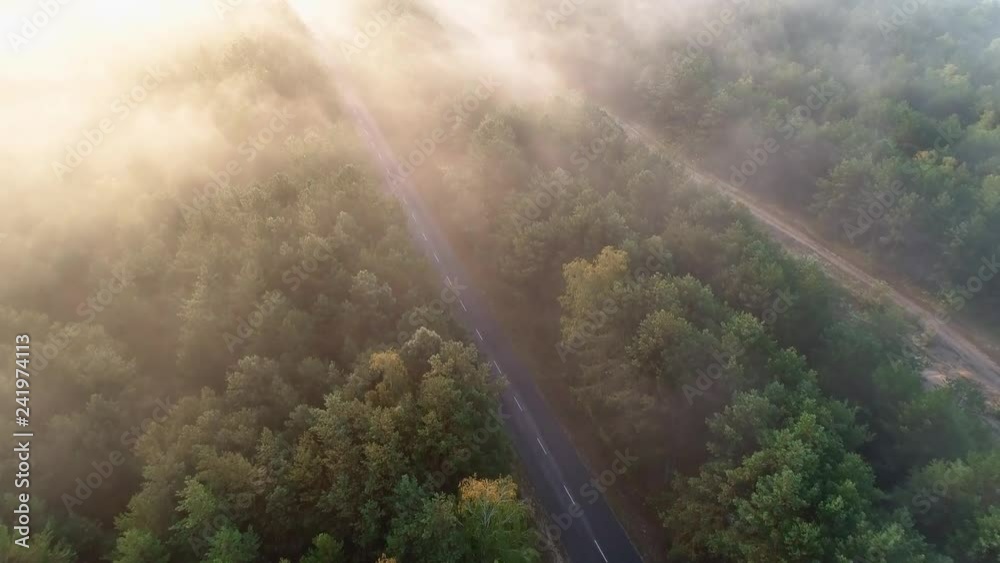 Aerial view of people running along the asphalt road between a forest with fog and sunrise. Concept: running, fitness, healthy lifestyle, well-being, marathon Aerial view of people running along the asphalt road between a forest with fog and sunrise. Concept: running, fitness, healthy lifestyle, well-being, marathon