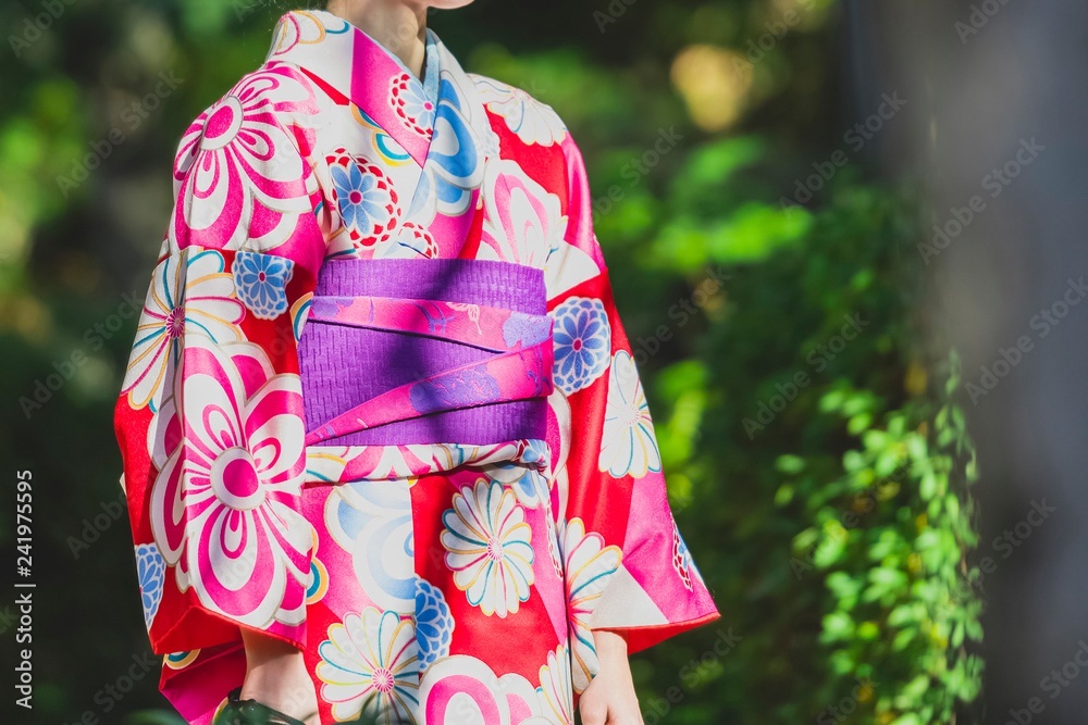 晴れ着を着た女性 晴れ着を着た女性