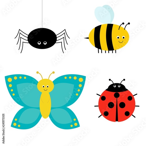 Cute cartoon insect set. Ladybug, spider, butterfly and bee. Isolated. © YuliaR