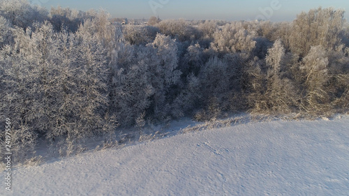 aerial view winter landscape trees covered with snow in countryside. field and trees in winter day