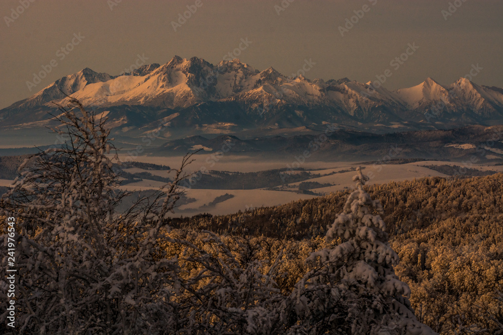 Tatry widziane z Jaworzyny Krynickiej , Beskid Sądecki.