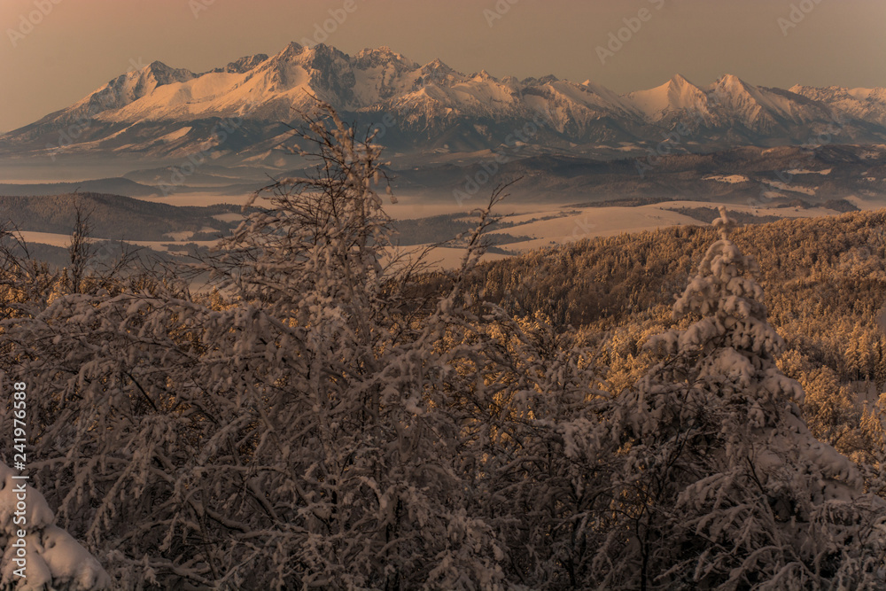 Tatry widziane z Jaworzyny Krynickiej , Beskid Sądecki.