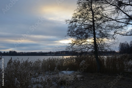 Nature phoäoghtafy in Sweden 2019