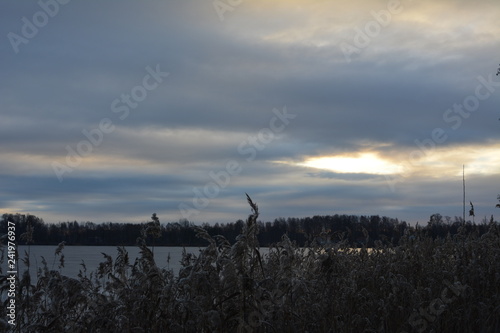 Nature phoäoghtafy in Sweden 2019
