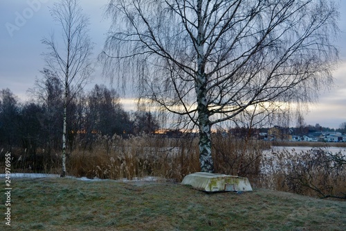 Nature phoäoghtafy in Sweden 2019