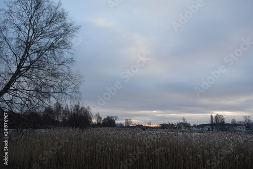 Nature phoäoghtafy in Sweden 2019