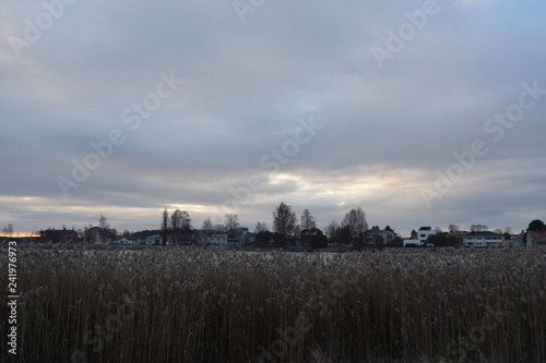 Nature phoäoghtafy in Sweden 2019