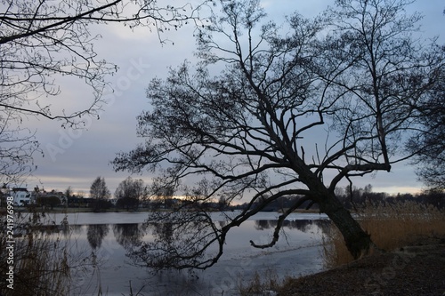 Nature phoäoghtafy in Sweden 2019