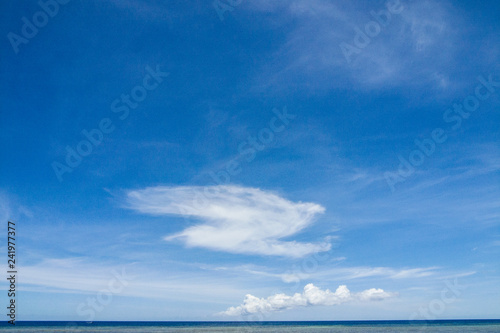 Bird-like cloud above sea horizon