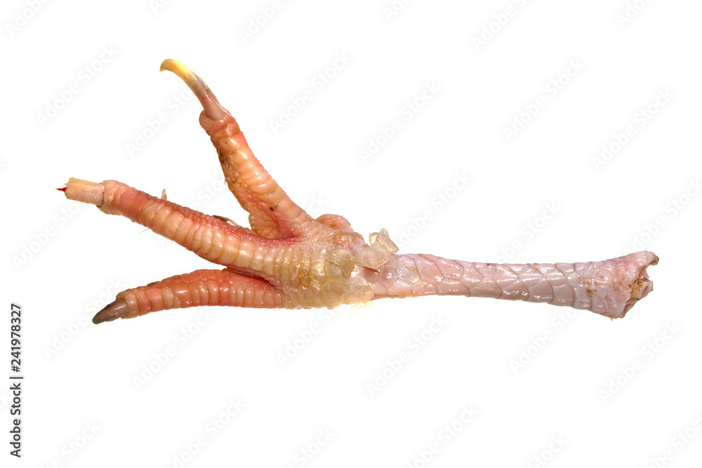 chicken legs isolated on white background