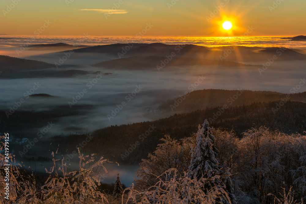 Po wschodzie słońca widoki z Jaworzyny Krynickiej ,Beskid Sądecki.