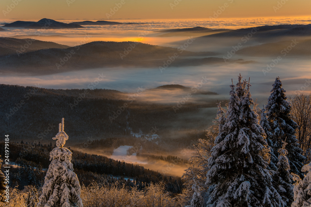 Po wschodzie słońca widoki z Jaworzyny Krynickiej ,Beskid Sądecki.