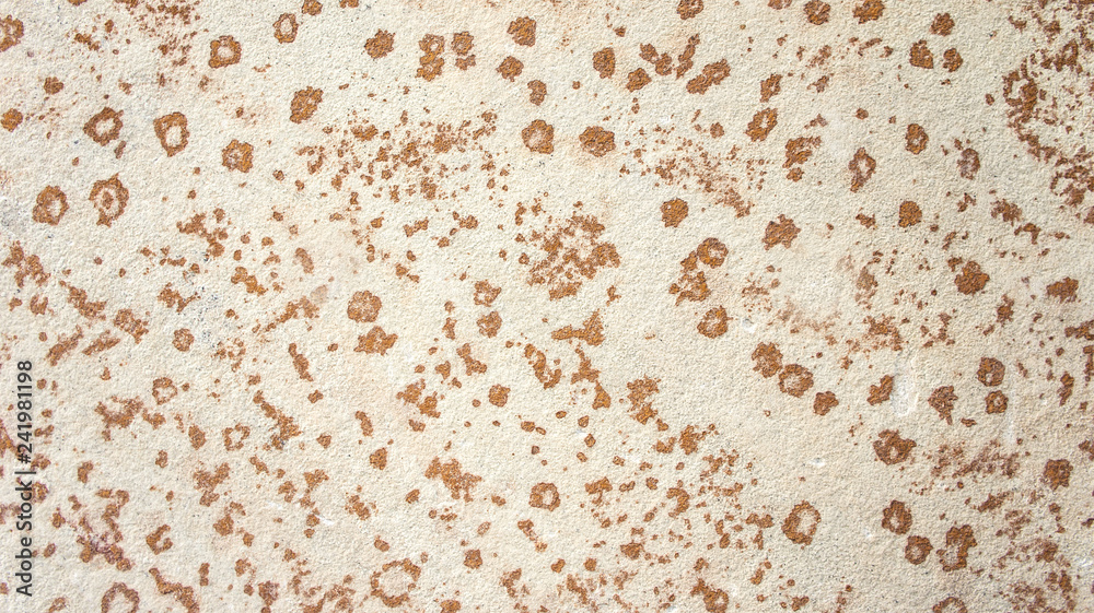Leopard Dots Wall Background Pattern Leopard Dots Wall Background Pattern