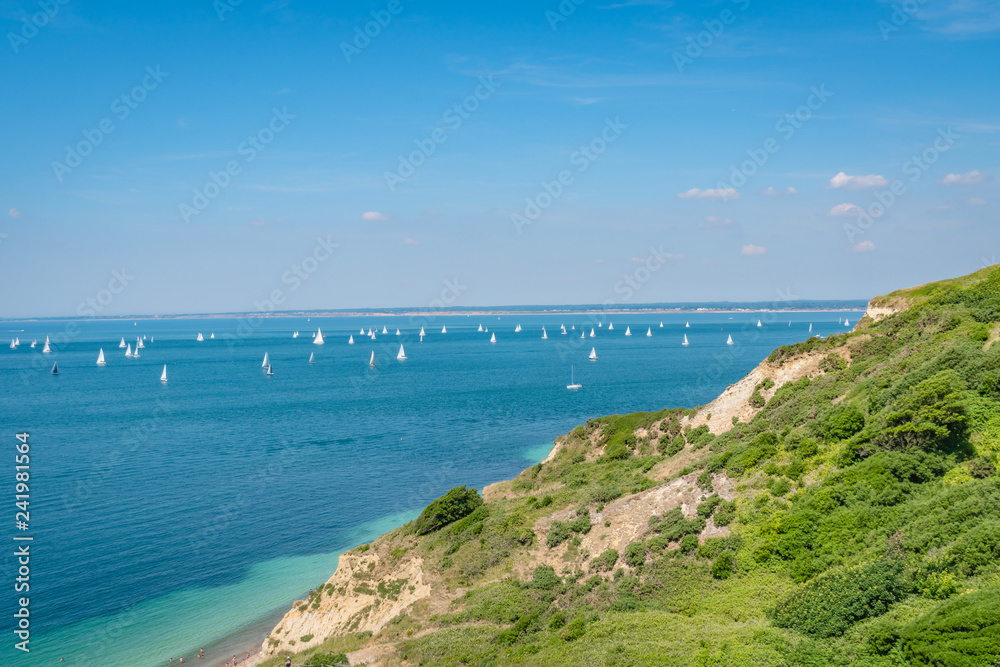 Fototapeta premium Next view over the Needles of the isle of wight in UK.