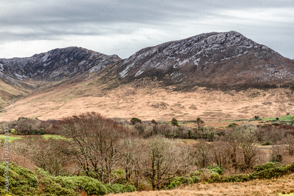 Mountains and vegetation in Clifden