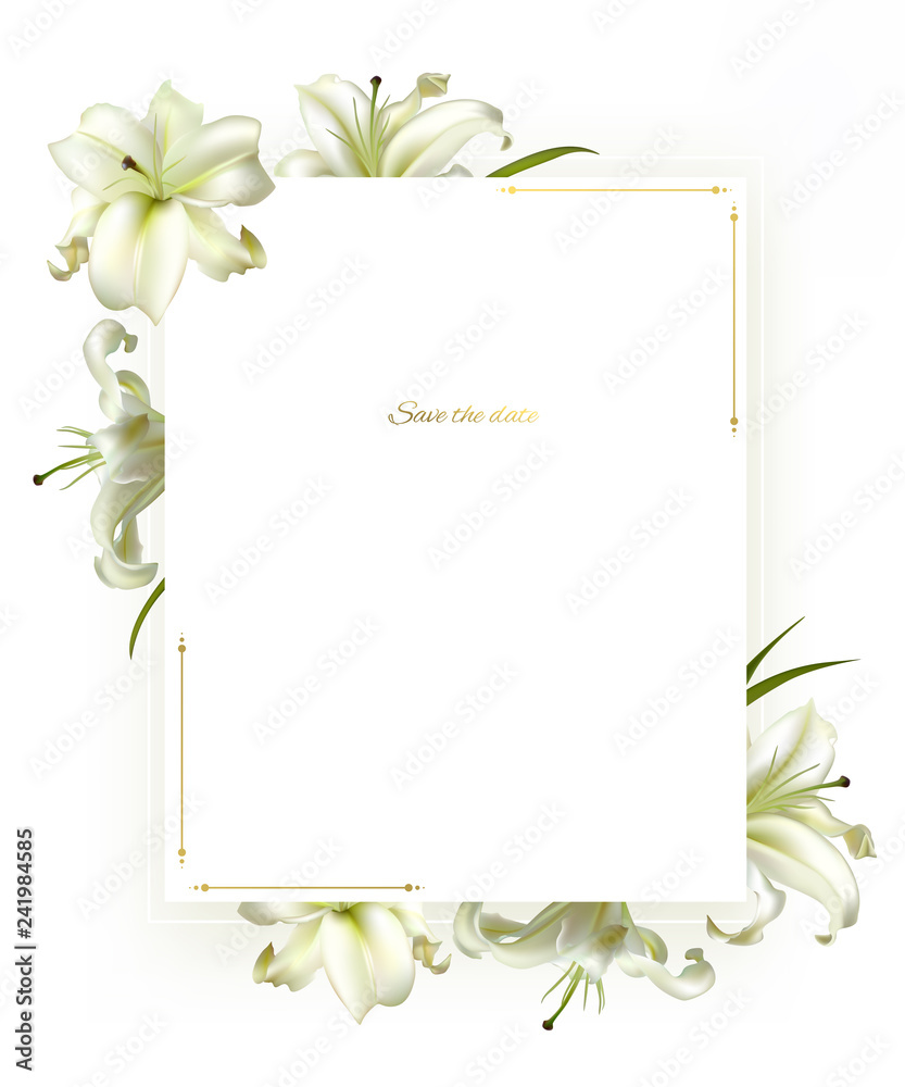 Flowers. Floral background. Lilies. White. Green leaves. Border.