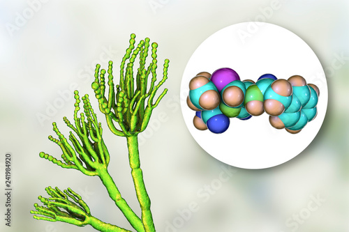 Fungi Penicillium producing penicillin antibiotic, 3D illustration photo