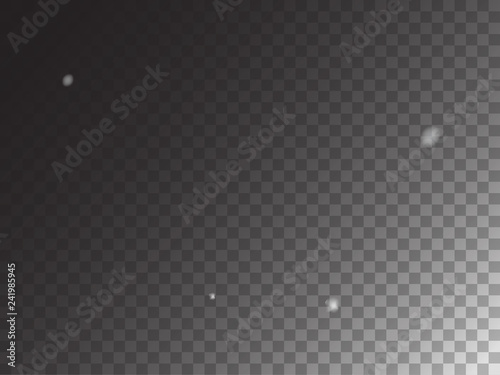 Winter Snowfall Ice Texture Vector Transparent Background. Realistic Snow Confetti Falling Down, Isolated Snowflake Scatter. Random Moving Realistic Snow Confetti, Christmas New Year Frost Decoration.