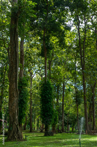 Landscape of Mae Ngao National park, Sop Moei District, Mae Hong Son province, northern of Thailand.