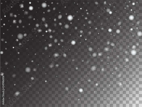 Winter Snowfall Ice Texture Vector Transparent Background. Realistic Snow Confetti Falling Down, Isolated Snowflake Scatter. Random Moving Realistic Snow Confetti, Christmas New Year Frost Decoration.