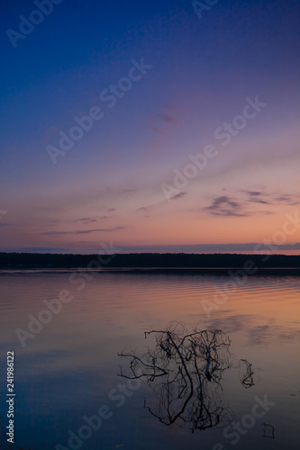 Fototapeta Naklejka Na Ścianę i Meble -  branch of the tree sticks out of the water. Violet-pink sunrise on the lake.