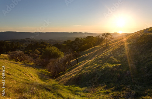 Coastal California Hillsides at Sunset in Spring (Russian Ridge Open Space)