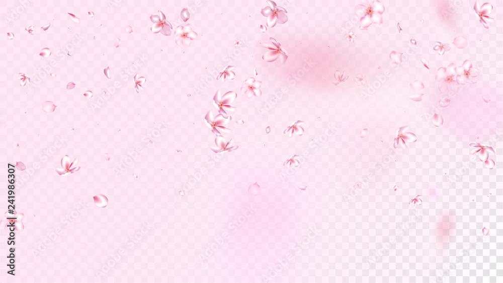 Nice Sakura Blossom Isolated Vector. Spring Falling 3d Petals Wedding Pattern. Japanese Style Flowers Wallpaper. Valentine, Mother's Day Spring Nice Sakura Blossom Isolated on Rose