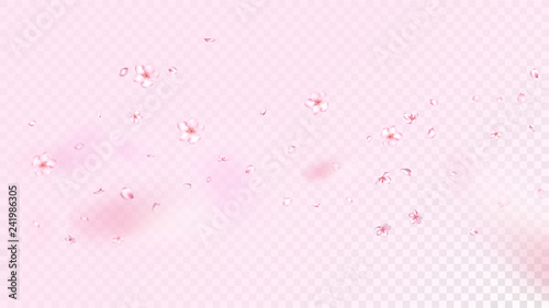 Nice Sakura Blossom Isolated Vector. Summer Showering 3d Petals Wedding Border. Japanese Funky Flowers Illustration. Valentine, Mother's Day Spring Nice Sakura Blossom Isolated on Rose © graficanto