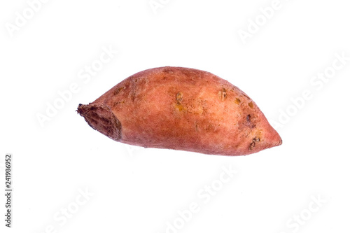 Sweet Potato