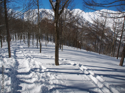Fototapeta Naklejka Na Ścianę i Meble -  雪山を眺めるスノートレッキングコース(白馬岩岳ねずこの森)