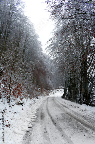 Snowy road and snowy trees. On the road there are traces of the tires of the cars