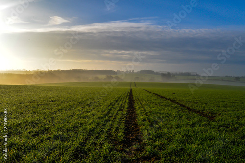 Misty morning in Woodend - Uk