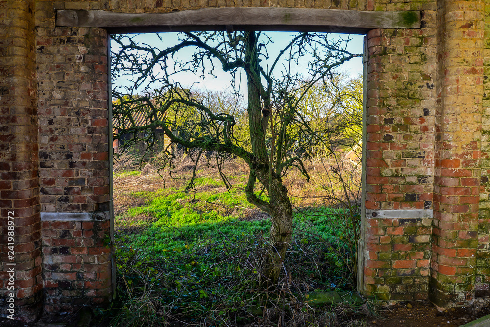 An abandoned farm building in Woodend - Uk