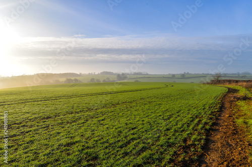 Misty morning in Woodend - Uk