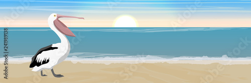 Pelican on the sandy beach of the sea or ocean. Wild birds of Australia, New Guinea and Indonesia. Realistic Vector Landscape