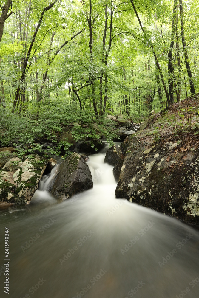 Obraz premium Mountain Stream