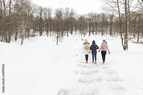 Walk in the Park in winter in frosty weather