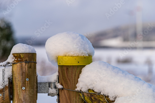 Zwei verschneite Zaunpfosten, Winterlandschaft im Hintergrund photo