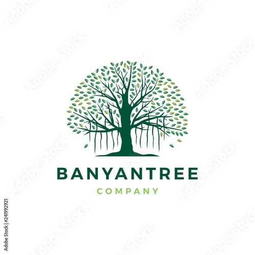 banyan tree logo vector icon illustration photo