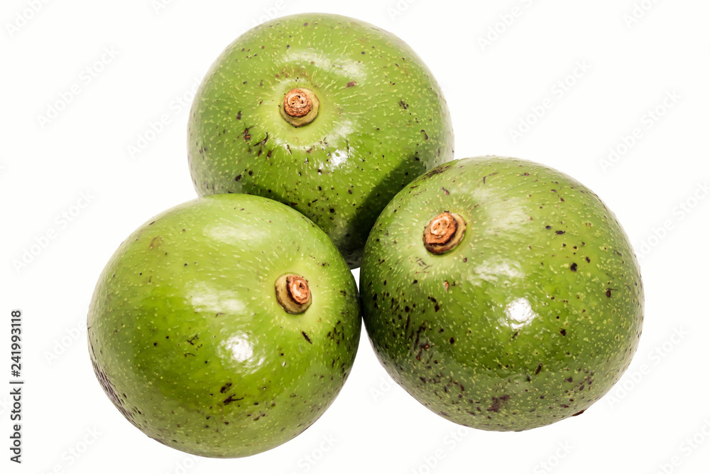 Three of green thai avocado on white background Three of green thai avocado on white background