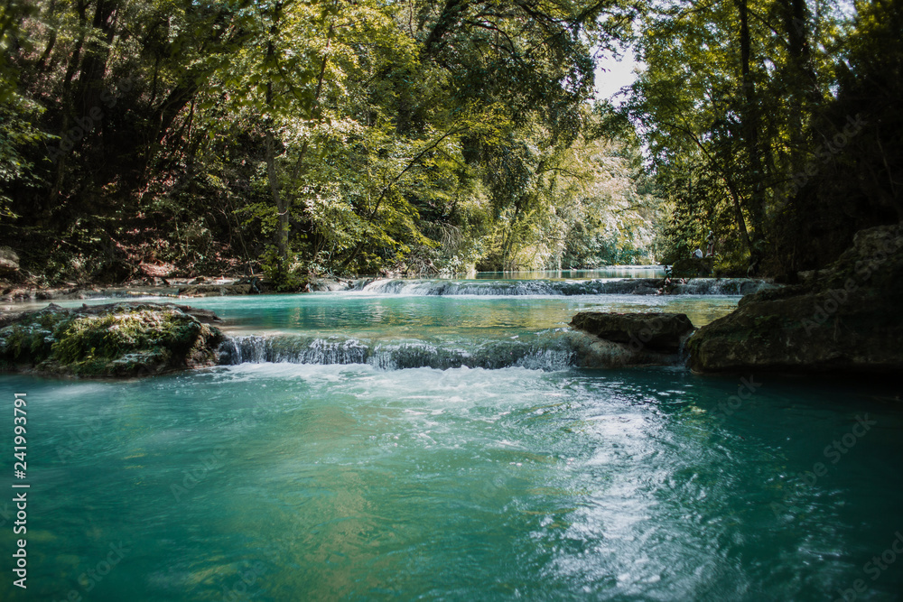 Fototapeta premium Jardim do Elza