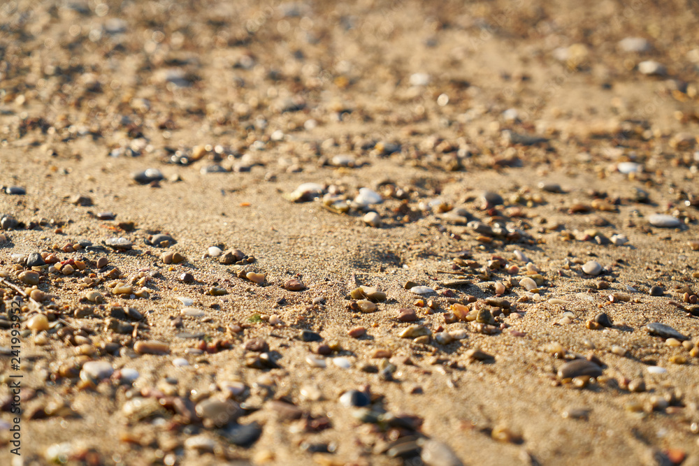 Beach sands texture and background Beach sands texture and background