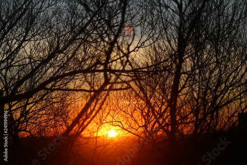 Photo beautiful sunset views and trees evening