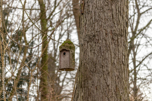 Vogelhaus hängt an einem Baum