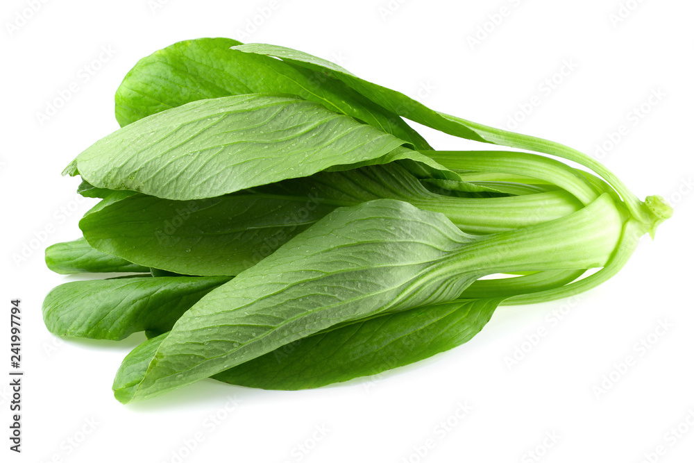 Bok choy cabbage isolated on white background Bok choy cabbage isolated on white background
