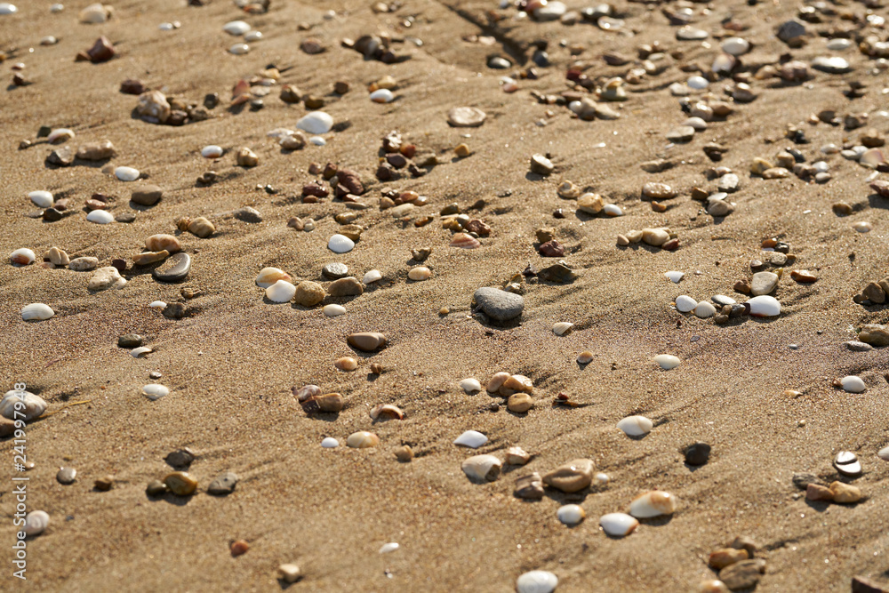 Beach sands texture and background Beach sands texture and background