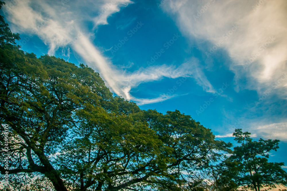 Obraz premium blue sky and clouds