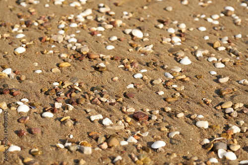 Beach sands texture and background