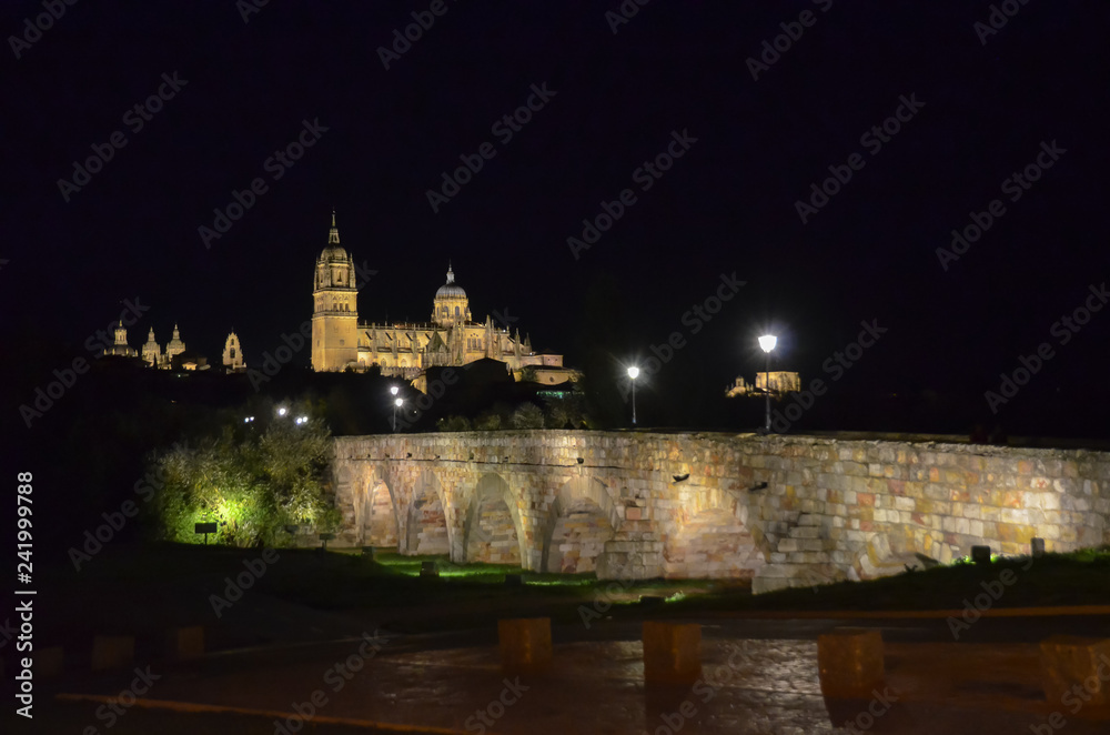 夜のサラマンカ大聖堂とローマ橋（スペイン）